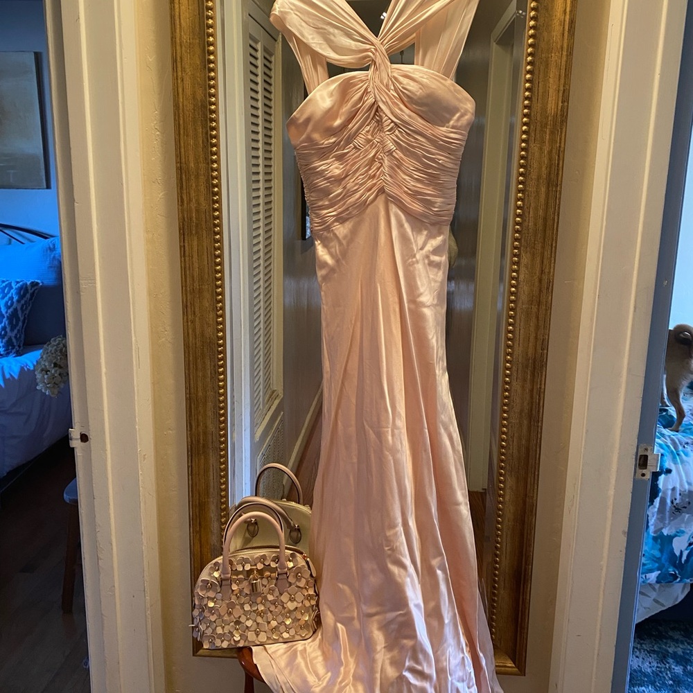 Niteline Blush Pink Backless Gown